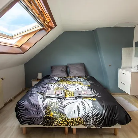 度假居 Maison 3 Min Zenith Et Stade - Parking, Wifi, Check-in Autonome 阿棉